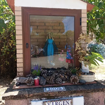Rosa Amparo